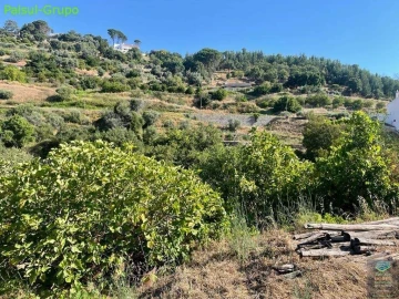 Quinta T2 para Venda em Monchique