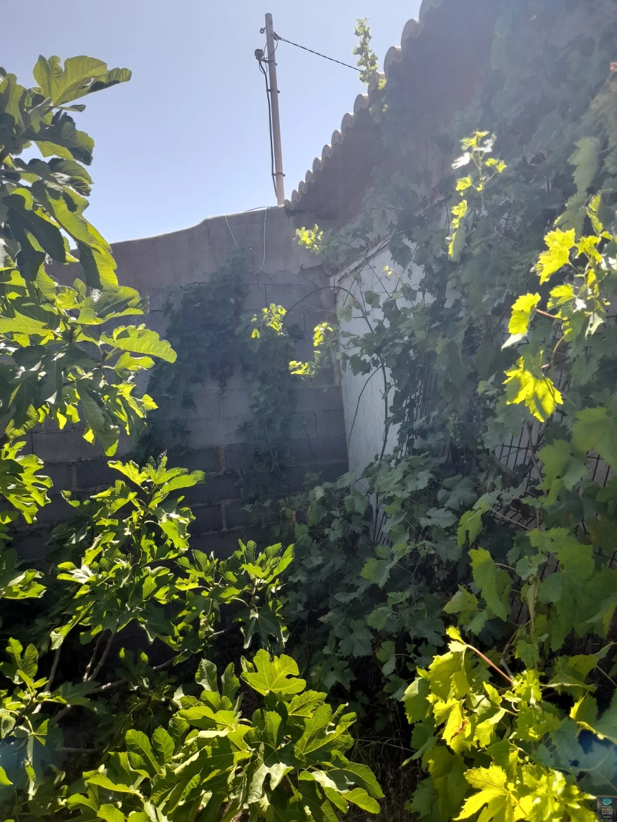 Quinta T2 para Venda em Monchique Foto 26