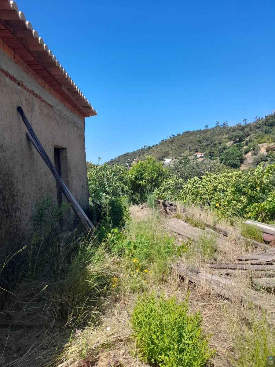 Quinta T2 para Venda em Monchique Foto 38