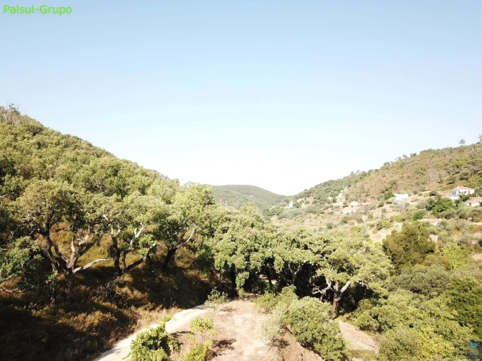 Quinta T2 para Venda em Monchique Foto 45