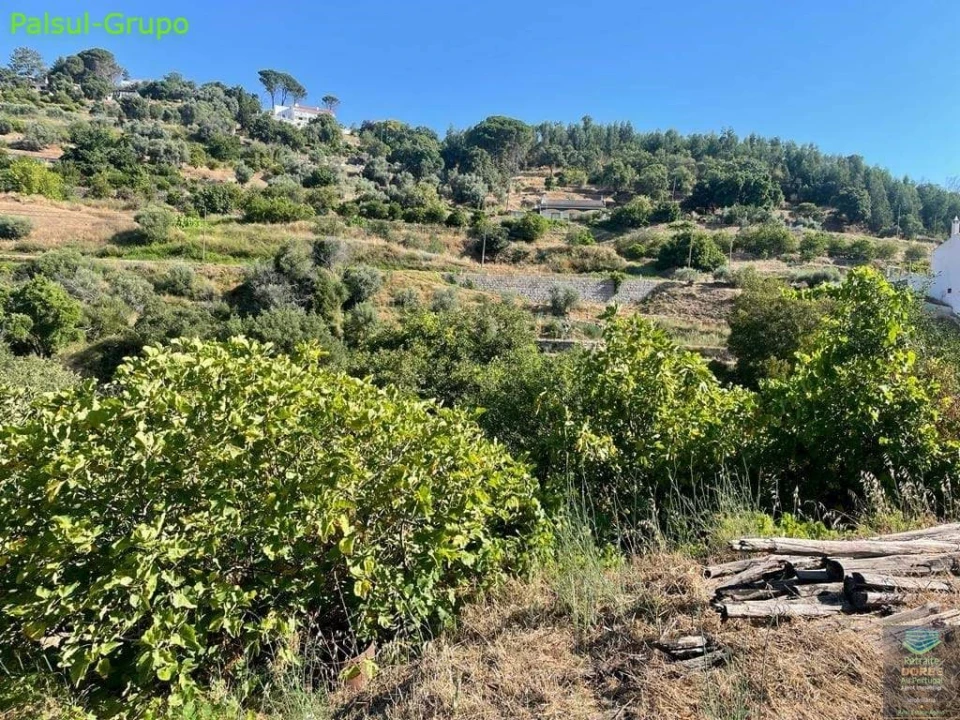 Quinta T2 para Venda em Monchique Foto 44
