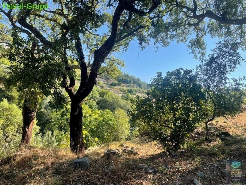 Quinta T2 para Venda em Monchique Foto 41