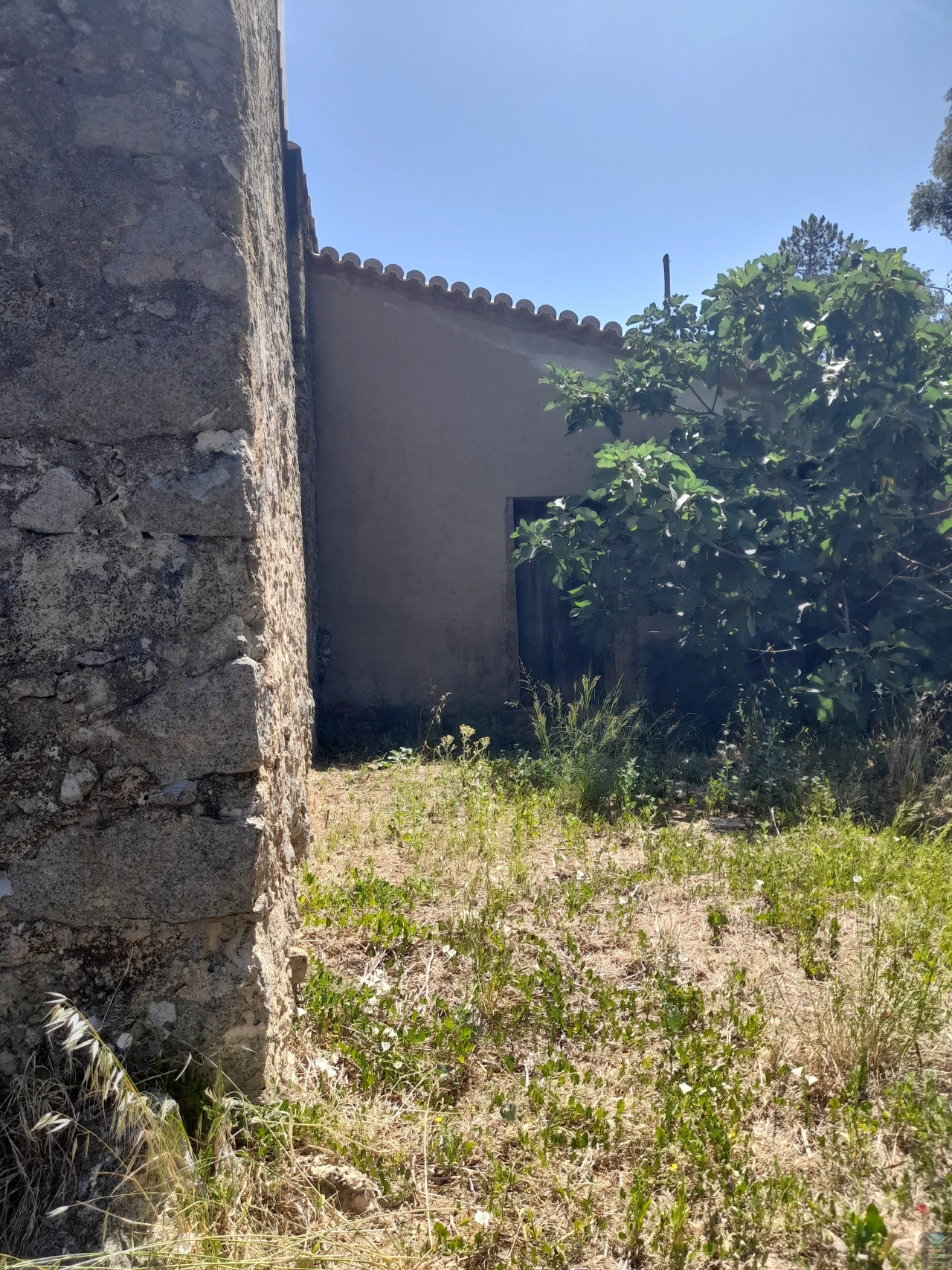 Quinta T2 para Venda em Monchique Foto 25