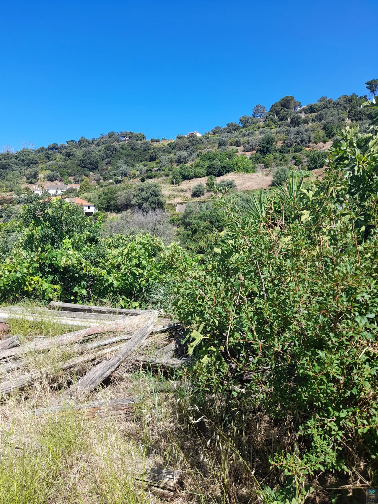 Quinta T2 para Venda em Monchique Foto 48