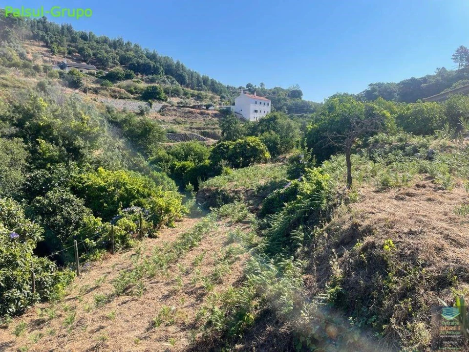 Quinta T2 para Venda em Monchique Foto 42