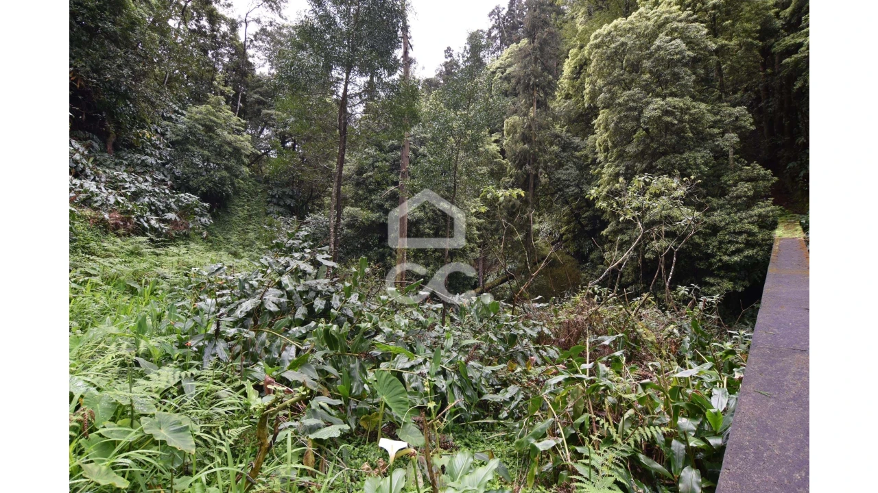 Terreno para Venda em Agua de Pau Foto 5