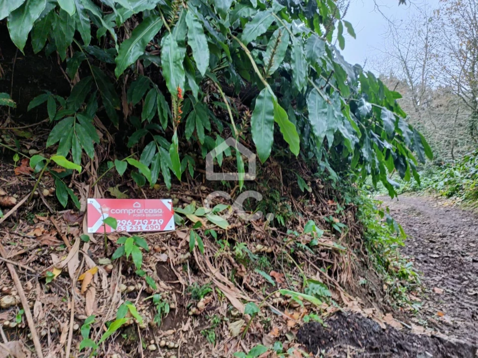 Terreno para Venda em Agua de Pau Foto 1