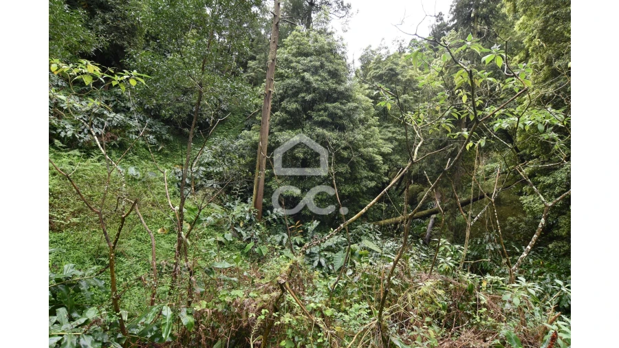 Terreno para Venda em Agua de Pau Foto 7