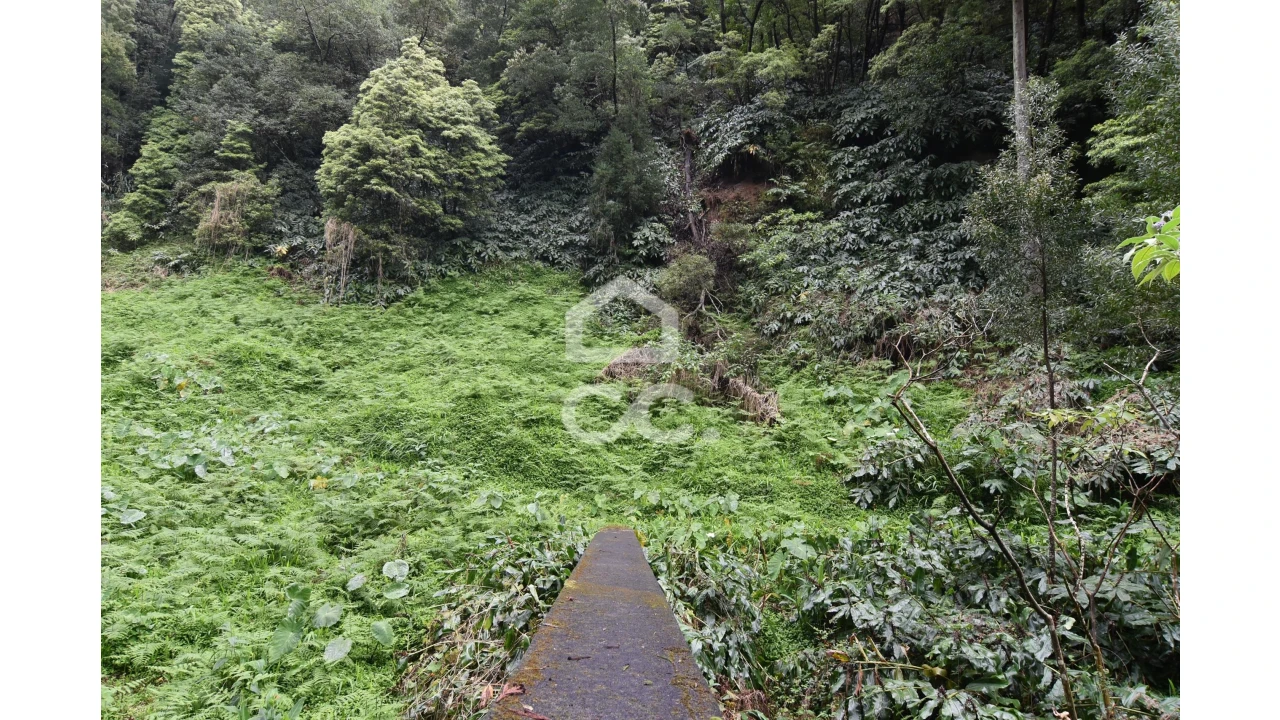 Terreno para Venda em Agua de Pau Foto 3