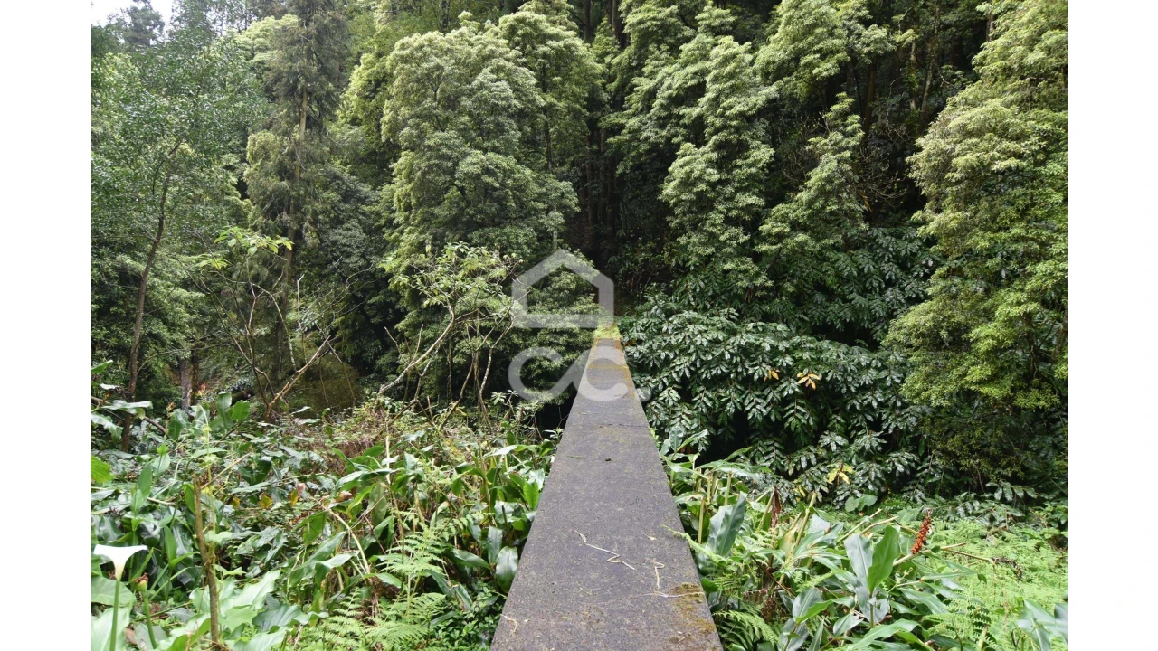 Terreno para Venda em Agua de Pau Foto 4