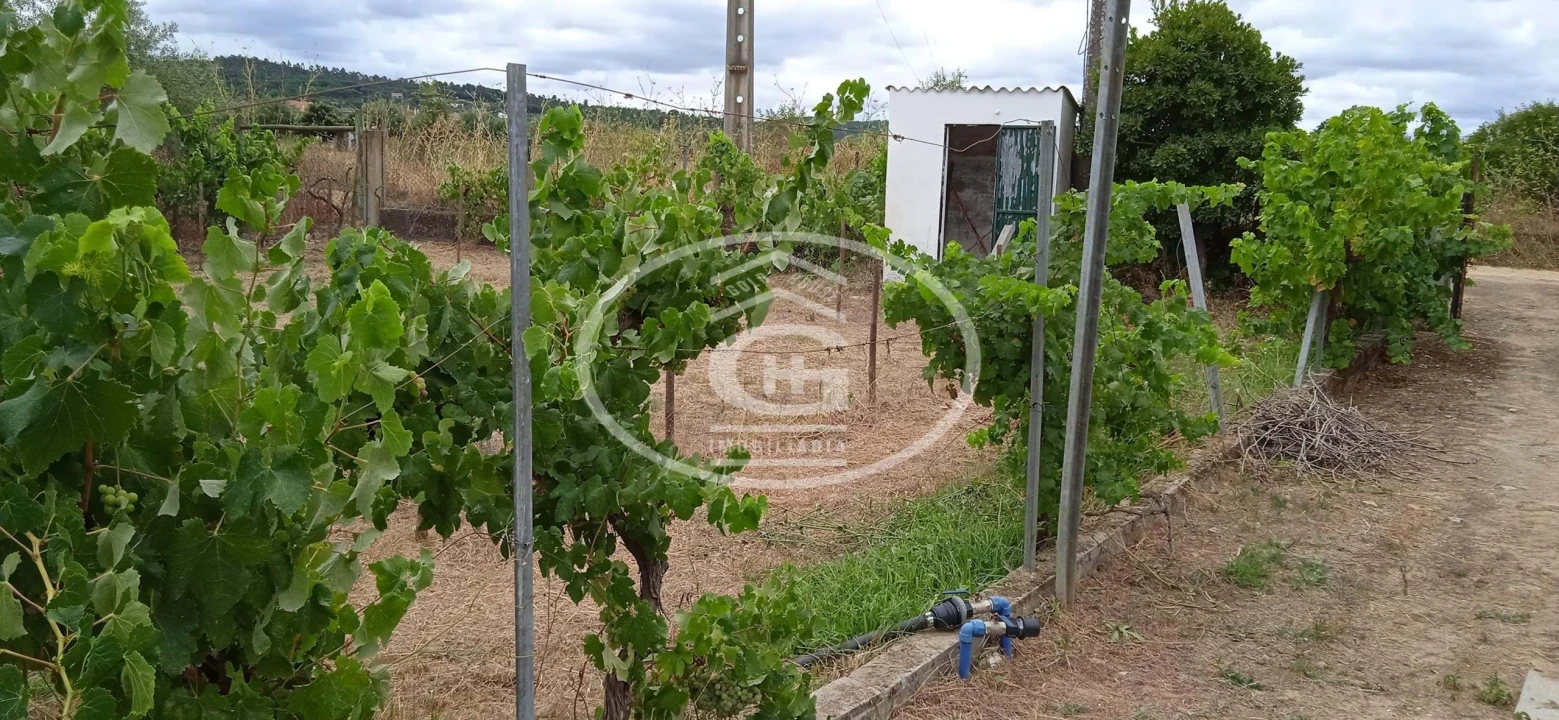 Quinta T2 para Venda em Carregueira Foto 21