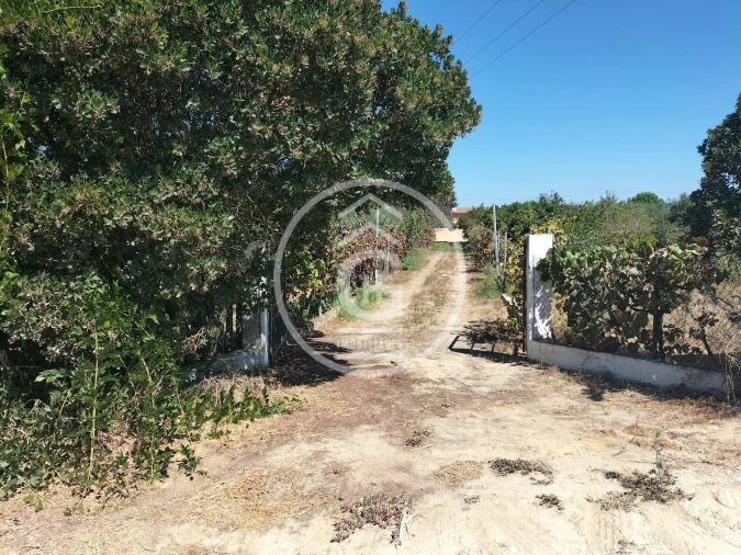 Quinta T2 para Venda em Carregueira Foto 26