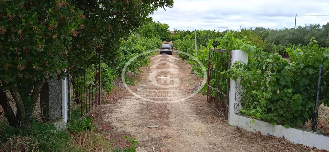 Quinta T2 para Venda em Carregueira Foto 1