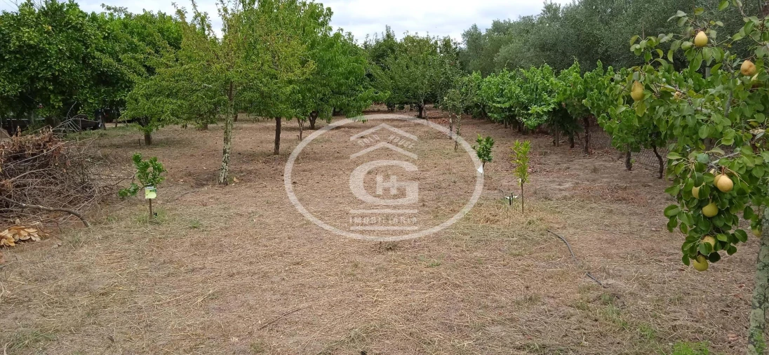 Quinta T2 para Venda em Carregueira Foto 22