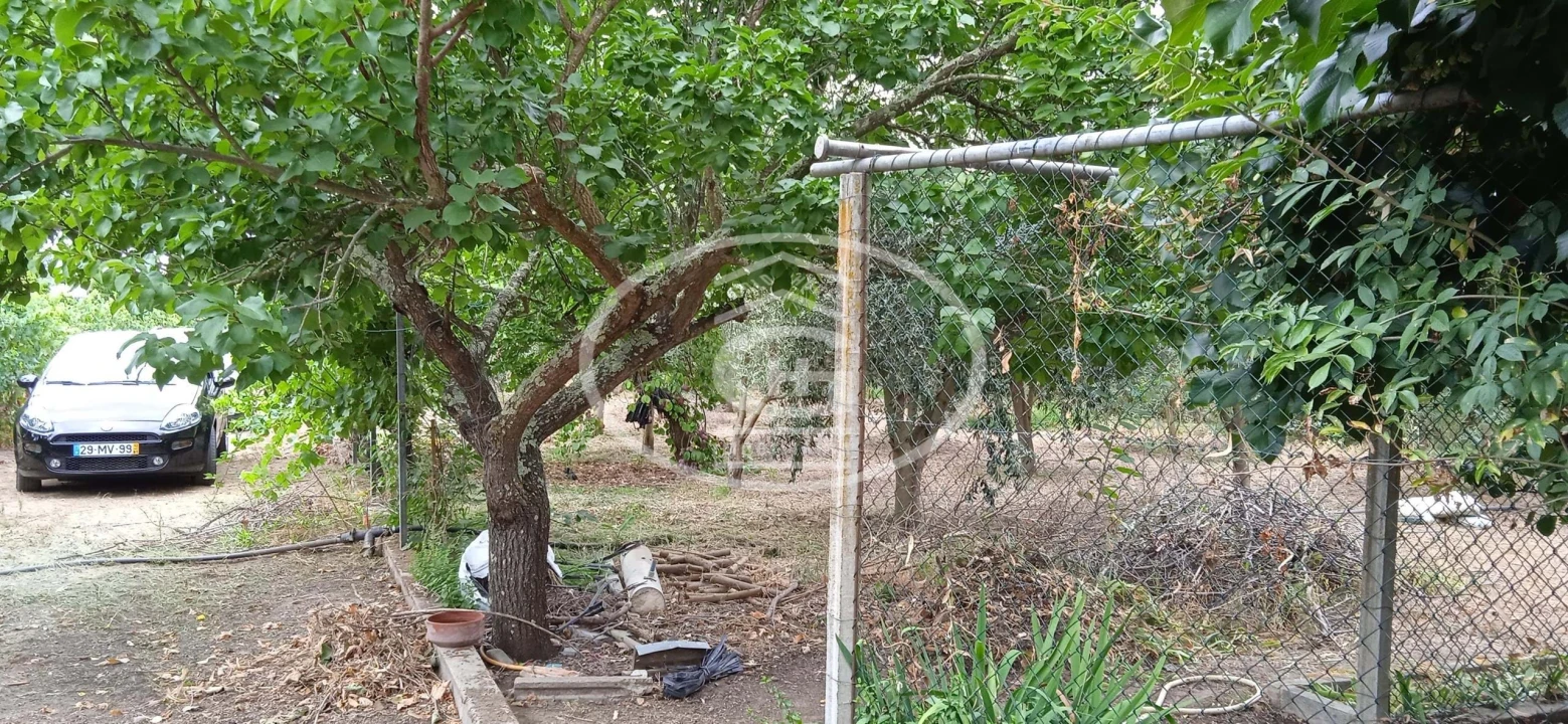 Quinta T2 para Venda em Carregueira Foto 25