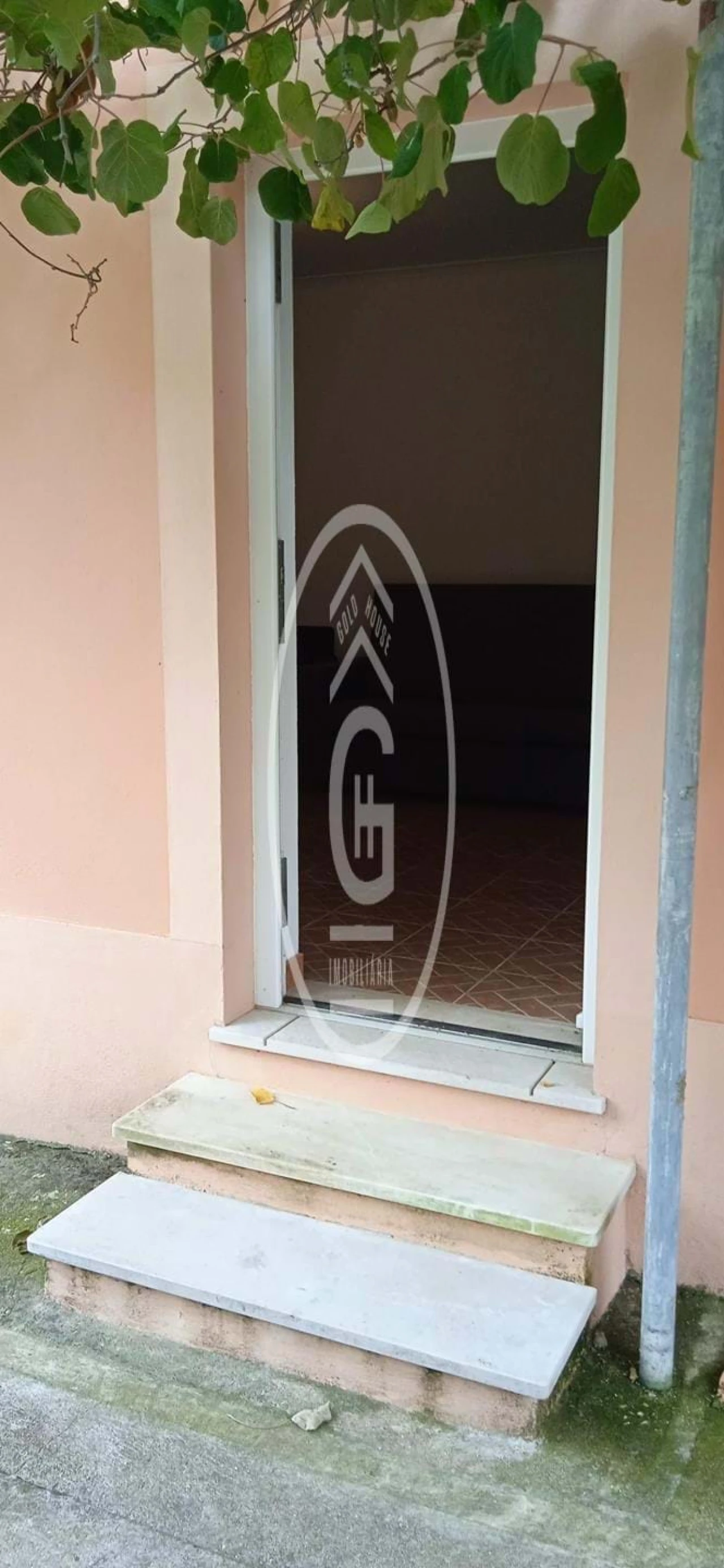 Quinta T2 para Venda em Carregueira Foto 6