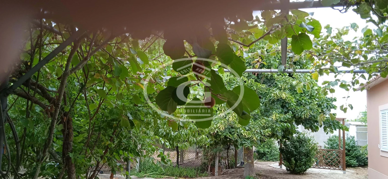 Quinta T2 para Venda em Carregueira Foto 20