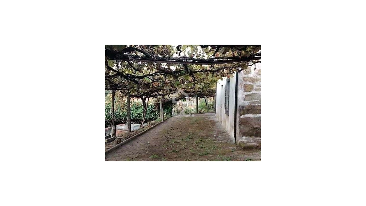 Quinta T3 para Venda em Roriz Foto 20