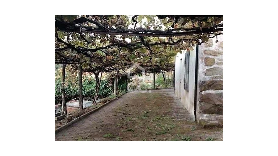 Quinta T3 para Venda em Roriz Foto 20