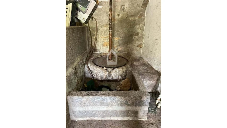 Quinta T3 para Venda em Roriz Foto 24