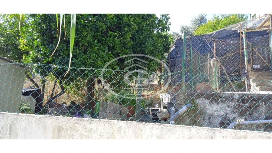 Moradia T2 para Venda em Chamusca e Pinheiro Grande Foto 7