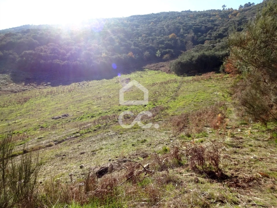 Terreno para Venda em São João da Fresta Foto 7