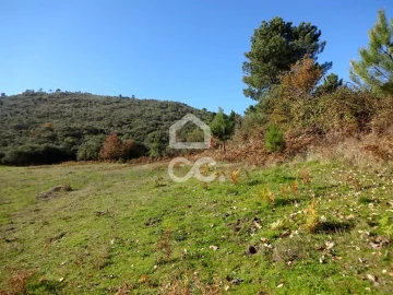 Terreno para Venda em São João da Fresta