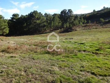 Terreno para Venda em São João da Fresta