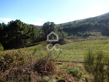Terreno para Venda em São João da Fresta