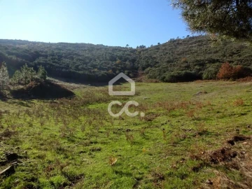 Terreno para Venda em São João da Fresta