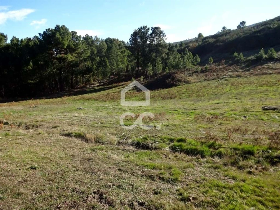 Terreno para Venda em São João da Fresta Foto 1