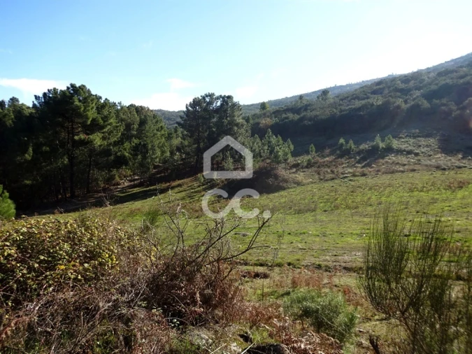 Terreno para Venda em São João da Fresta Foto 8