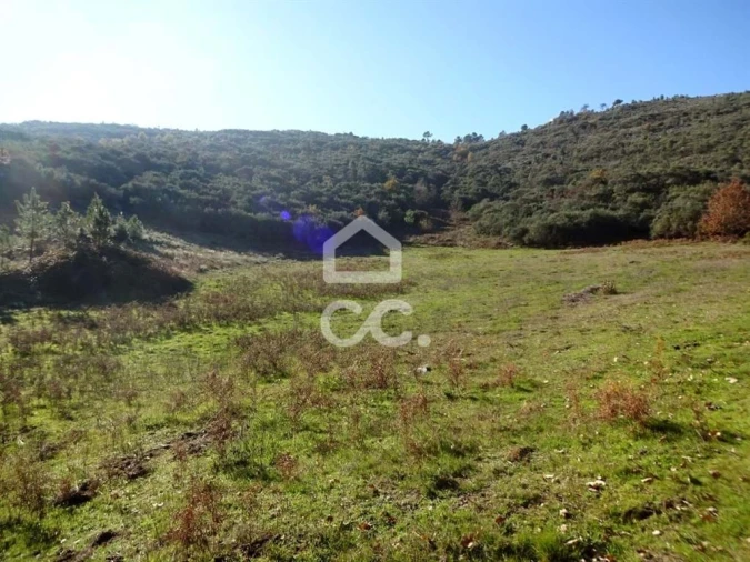 Terreno para Venda em São João da Fresta Foto 2