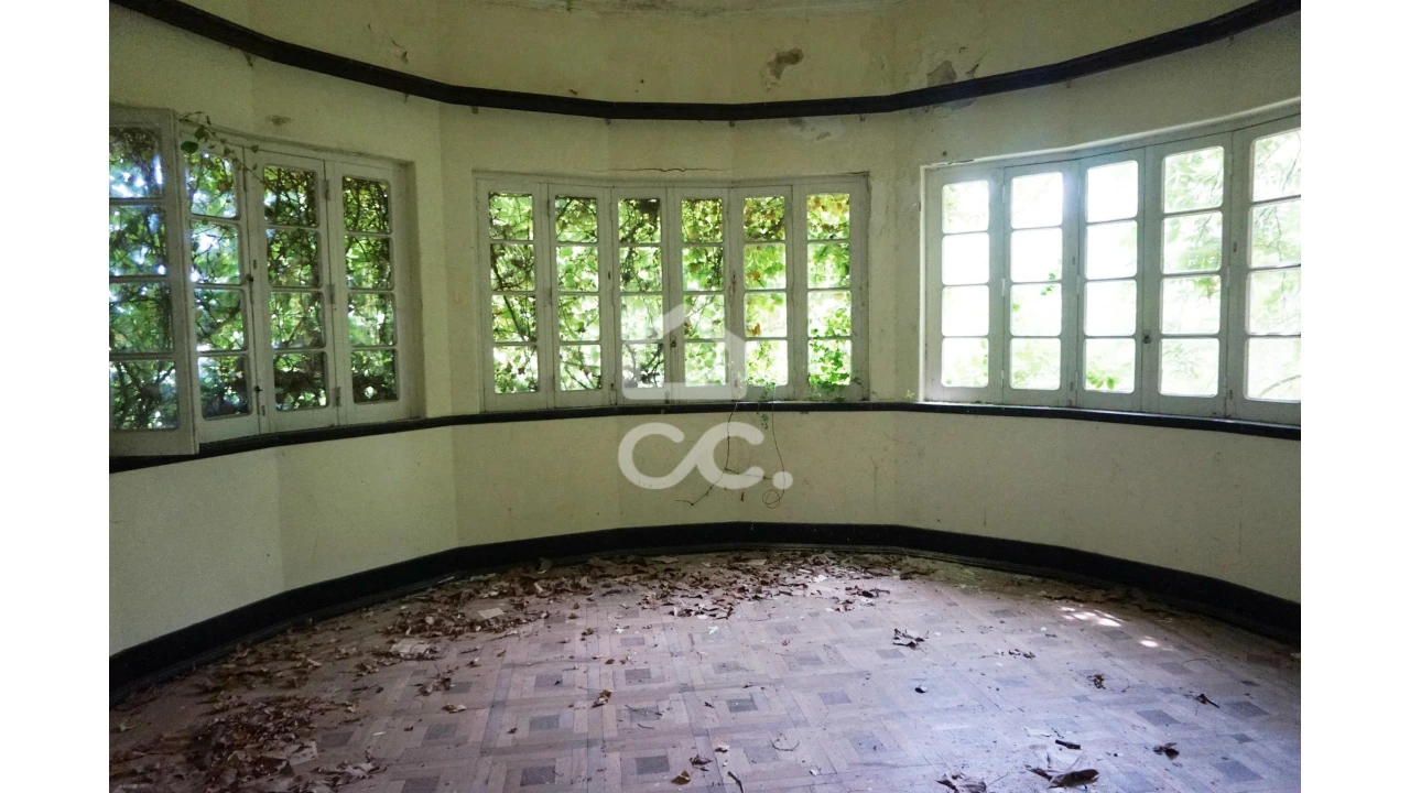 Quinta T20 para Venda em Tramagal Foto 12