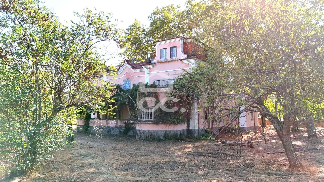 Quinta T20 para Venda em Tramagal Foto 2