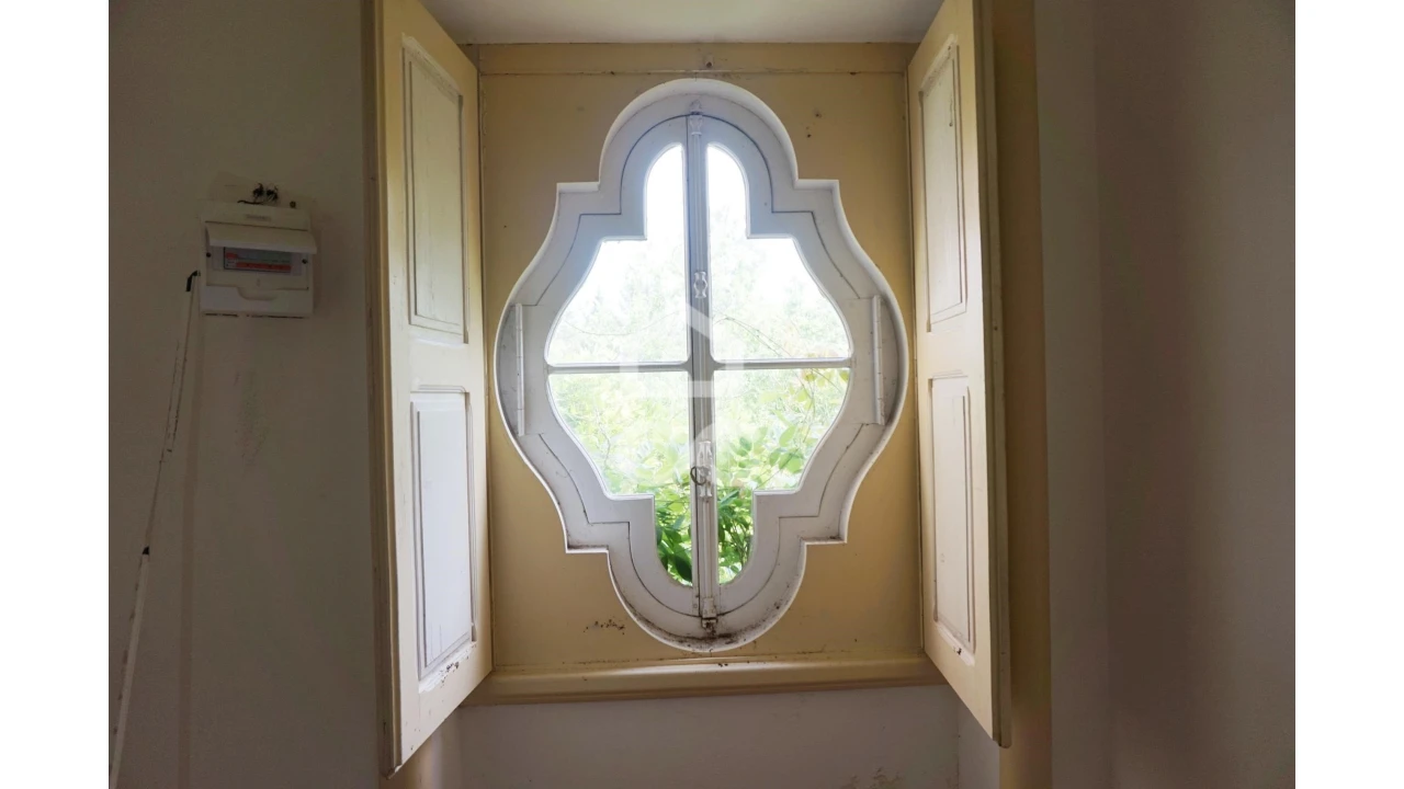 Quinta T20 para Venda em Tramagal Foto 22