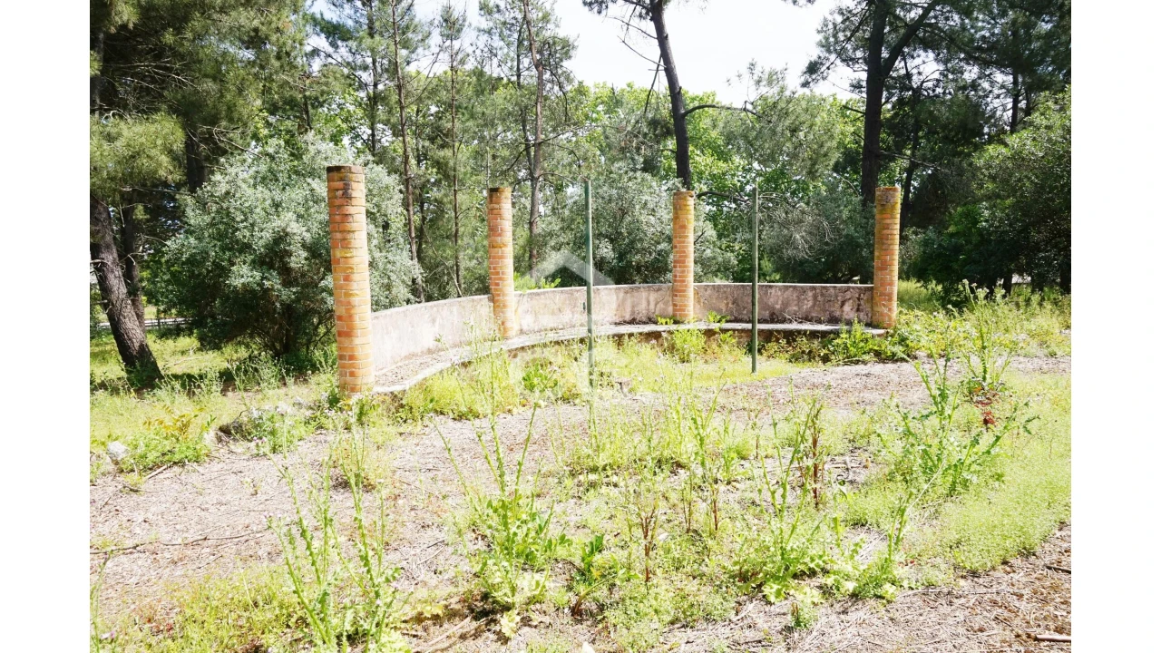 Quinta T20 para Venda em Tramagal Foto 26