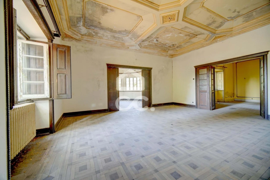 Quinta T20 para Venda em Tramagal Foto 10