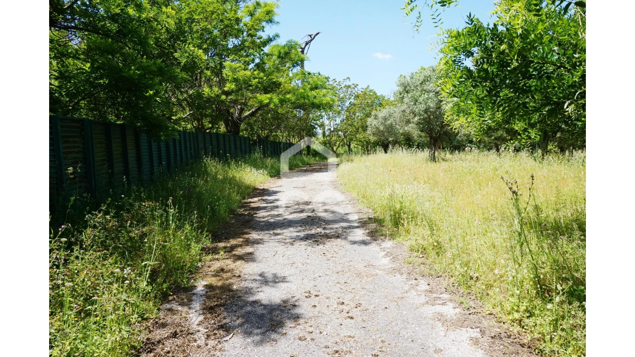 Quinta T20 para Venda em Tramagal Foto 31