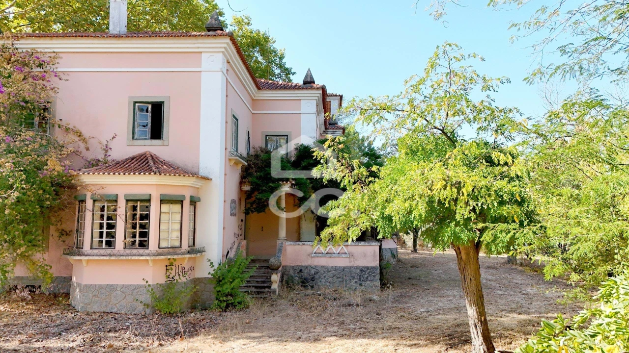 Quinta T20 para Venda em Tramagal Foto 4