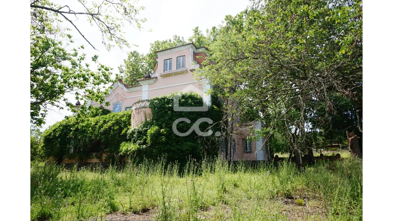 Quinta T20 para Venda em Tramagal Foto 6