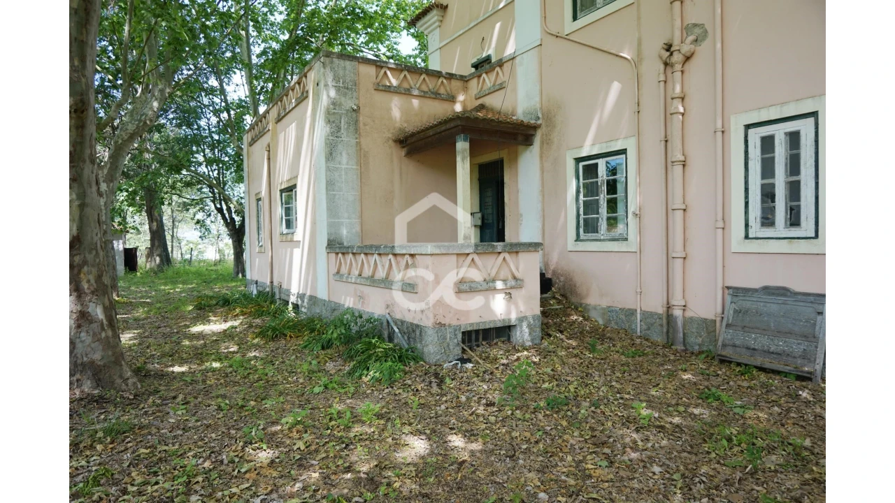 Quinta T20 para Venda em Tramagal Foto 4