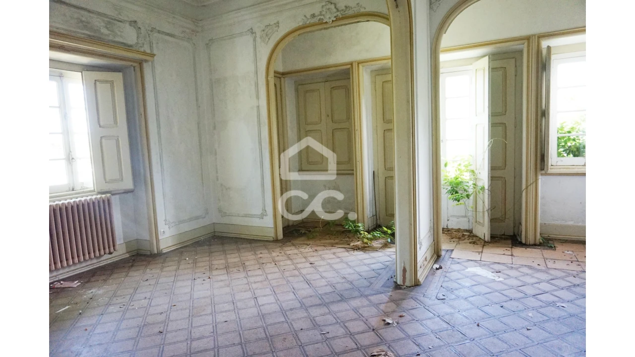 Quinta T20 para Venda em Tramagal Foto 16