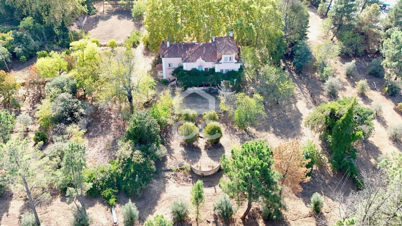 Quinta T20 para Venda em Tramagal Foto 37