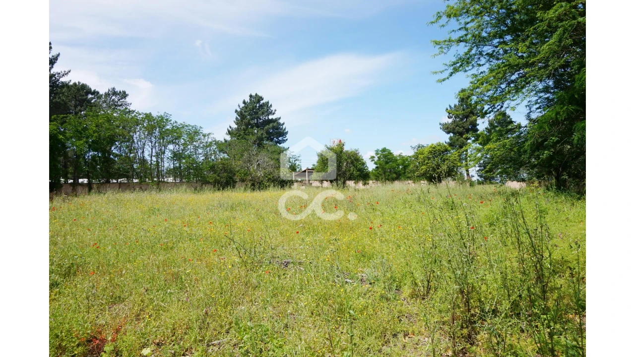 Quinta T20 para Venda em Tramagal Foto 28