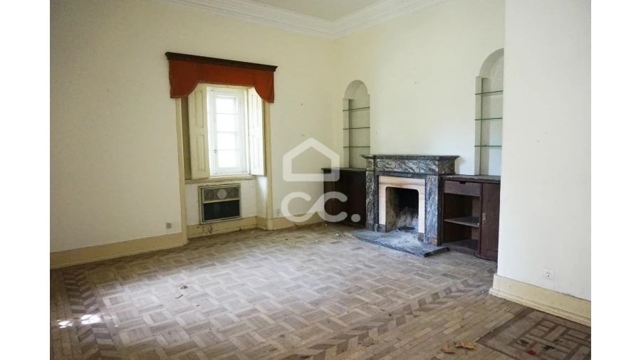 Quinta T20 para Venda em Tramagal Foto 8