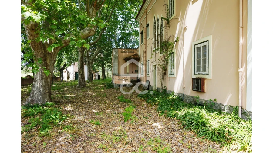 Quinta T20 para Venda em Tramagal Foto 3