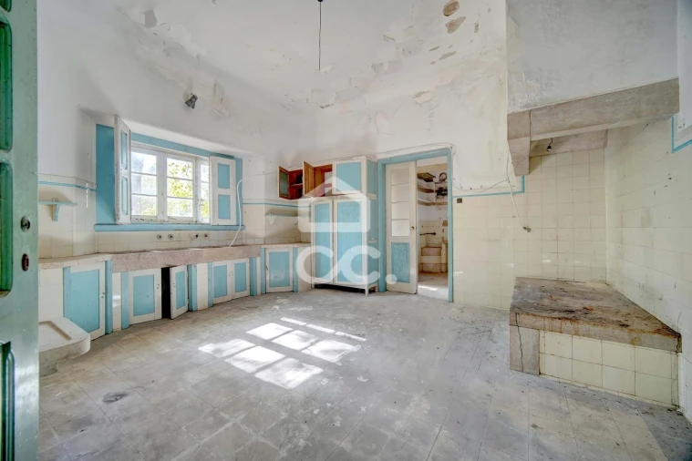 Quinta T20 para Venda em Tramagal Foto 15