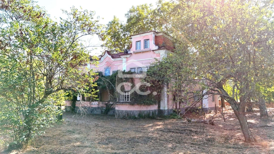 Quinta T20 para Venda em Tramagal Foto 2