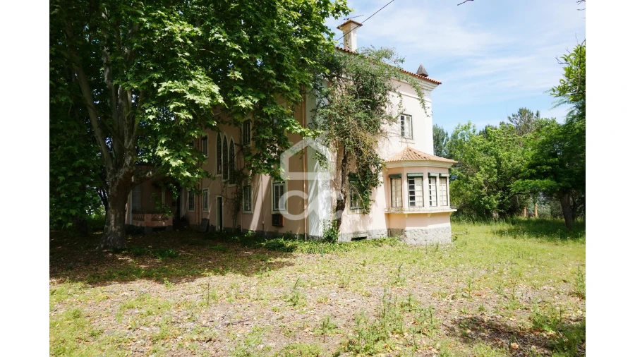 Quinta T20 para Venda em Tramagal Foto 2